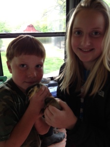 The Littles with their new ducks